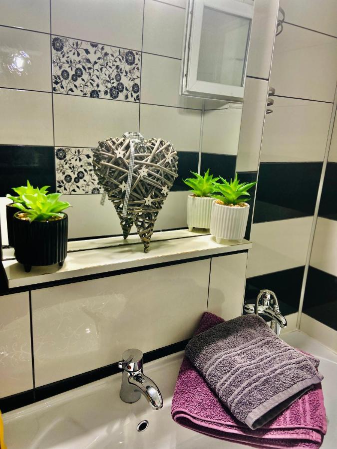 Cozy Central Place Brăila Екстериор снимка